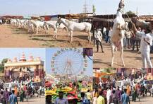 नंदुरबारमध्ये सारंगखेडा चेतक फेस्टिव्हलची तयारी अंतिम टप्प्यात