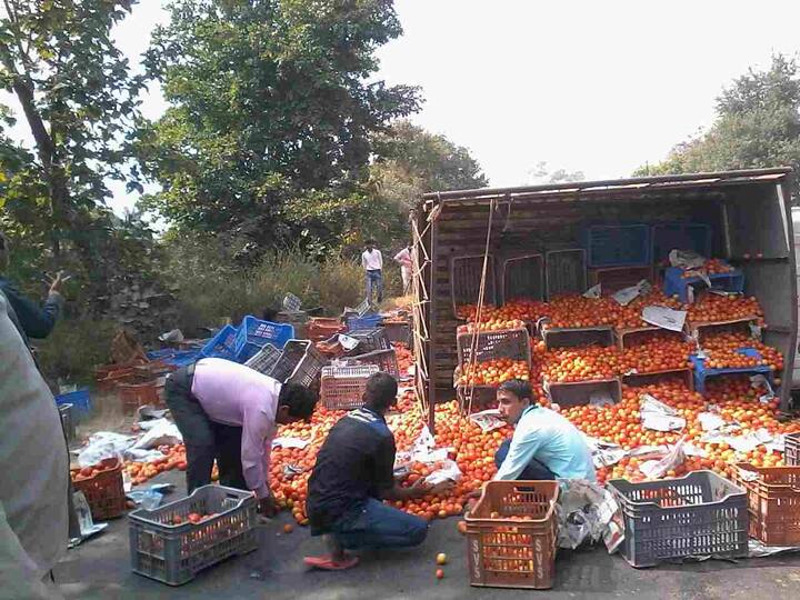 या अपघातात ट्रक चलक किरकोळ जखमी झाल्याची माहिती मिळते आहे.