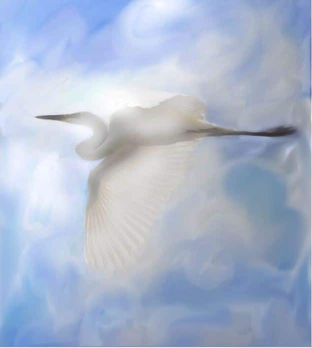 घुमक्कडी (15) : बगळ्या बगळ्या कवडी दे 