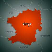 चंद्रपूर जिल्ह्यातील नगरपालिकांचे निकाल