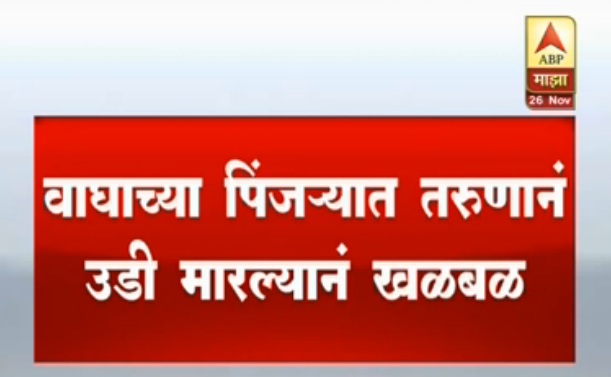 तरुणाची चक्क वाघाच्या पिंजऱ्यात उडी, पुण्यातील धक्कादायक प्रकार
