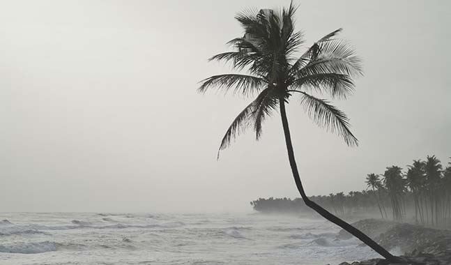 Andaman And Nicobar Cyclonic Weather Persists In Havelock Island अंदमान-निकोबारला वादळाचा तडाखा, 91 महाराष्ट्रीय अडकले