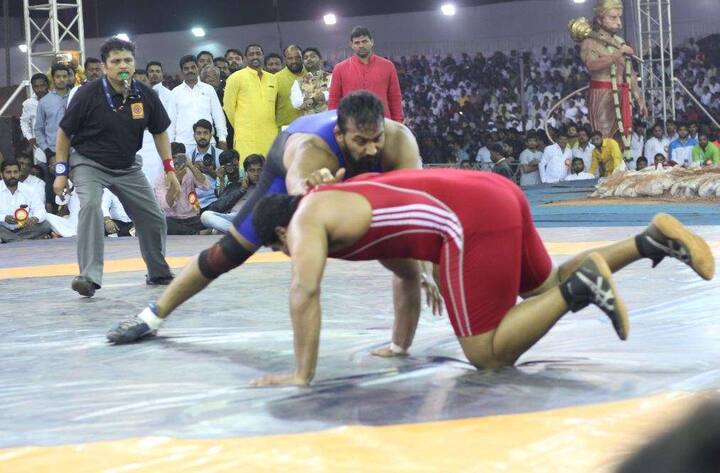 (सर्व फोटो - अमित फोटो आर्ट)