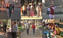 राज्यात थंडीचा जोर वाढला, परभणीत तापमानाचा पारा 6 अंश सेल्सिअसवर