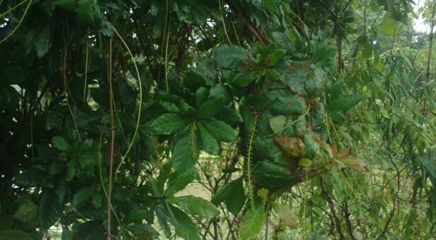 घुमक्कडी : (१९) : जे तुमच्याकडे नाही, ते माझ्याकडे आहे!  