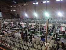 राज्यभरातल्या 3 हजार 700 ग्रामपंचायतींचा आज निकाल