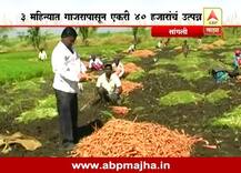 3 महिन्यात 40 हजार, भरघोस उत्पन्न देणारी गाजर शेती!