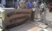 रत्नागिरीत रक्तचंदनाचा 10 कोटींचा साठा जप्त, सोफ्यातून तस्करीचा प्रयत्न