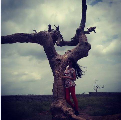 चित्रपटानंतर हे झाड सेल्फी पॉईंट झालं होतं. शिवाय या झाडाची 'सैराट झाड' हीच ओळख पुढे आली होती. चित्रपटाच्या यशानंतर राज्यभरातील चित्रपटप्रेमींनी या झाडाला भेट दिली.