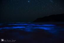 निसर्गाची अद्भूत जादू... कोकणातल्या समुद्रकिनाऱ्यावरची निळाई! 