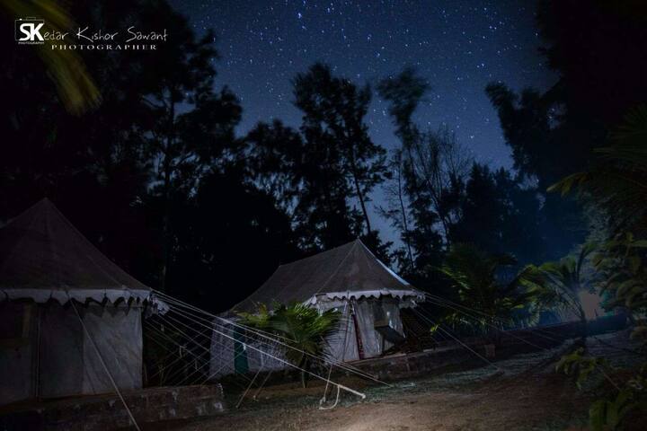 तेव्हा निसर्गाच्या या जादूचा तुम्हाला अनुभव घ्यायचा असेल तर तुम्हाला कोकण गाठून एक रात्र समुद्रकिनाऱ्यावर घालवावी लागेल. (फोटो सौजन्य: केदार सावंत)