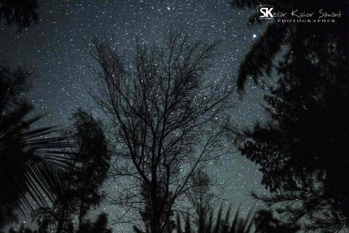 (फोटो सौजन्य: केदार सावंत)