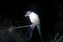 ते 365 दिवस !