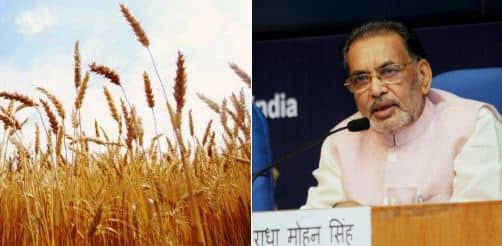 Central Government To Forgive Crop Loan Intensest On Two Mounts After Currency Ban Issue नोटाबंदीच्या काळातलं पीककर्जावरील दोन महिन्यांचे व्याज माफ