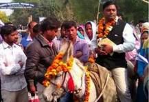 उमेदवारी अर्ज भरण्यासाठी गाढवावरुन वरात, पोलिसांकडून गुन्हा दाखल