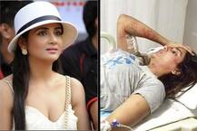 प्रसिद्ध अभिनेत्रीवर मुंबईत 6 भटक्या कुत्र्यांचा हल्ला