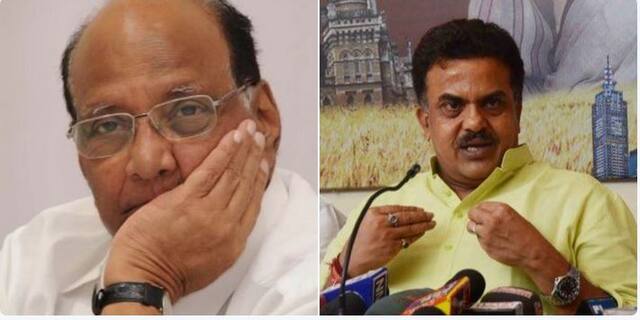 संजय निरुपम मूर्ख माणूस : शरद पवार