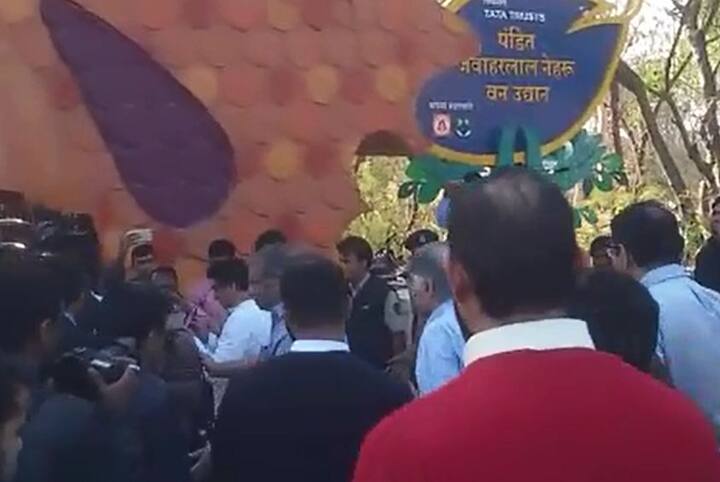 पाहा आणखी फोटो..