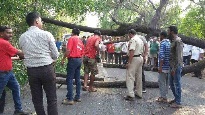 मुंबई-गोवा महामार्गावर अनेक ठिकाणी रस्त्यावर झाडं तोडून वाहतूक रोखण्यात आली होती.