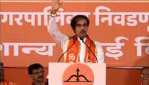 मुंबईत 110 जागांवर विजयाचा अंदाज : शिवसेना