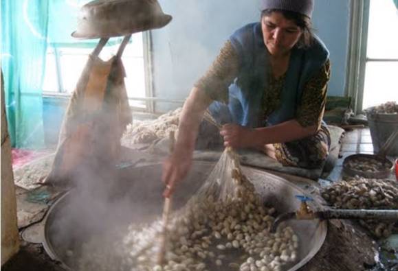 घुमक्कडी (28) : तू-ती आणि रेशमी प्रेमाचा लोचा  