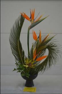 वृक्षमित्र संस्थेकडून फळभाज्या आणि फुलांचं आकर्षक प्रदर्शऩ!