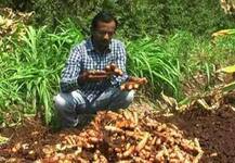 उच्चशिक्षित तरुणाचे शेतीतून वर्षाला तब्बल 17 लाख उत्पन्न