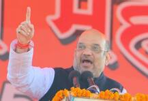 ... त्यादिवशी रात्री 12 वा. \'यूपी\'तील सर्व कत्तलखाने बंद होतील : शाह