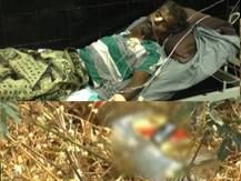 पांगरमल दारुकांडाप्रकरणी राज्य उत्पादन शुल्कचे 6 अधिकारी निलंबित