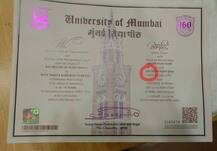 \'Nikita Kite\'चं मराठीत \'निकिता पतंग\', मुंबई विद्यापीठाची बौद्धिक दिवाळखोरी