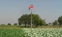 पीक संरक्षणासाठी जालन्यातील शेतकऱ्याचा ‘हायटेक’ जुगाड !