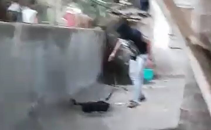 कोब्रा पकडणं एका सराईत सर्पमित्राच्या जीवावर बेतलं आहे. वसईच्या नायगाव परिसरात राहणाऱ्या मोहम्मद अवेझ मिस्त्रीचा कोब्राच्या दंशानं मृत्यू झाला आहे.