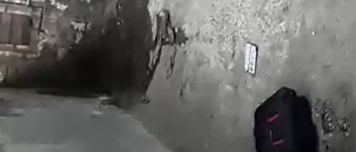 जाताना त्या विषारी सापानं अवेझच्या पाठीवरही चावा घेतला. तरीही अवेझनं सापाला पकडून ठेवलं आणि परिसरातील छोट्या खाडीत टाकलं.