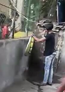 कोब्रादंशाने सर्पमित्राचा मृत्यू 