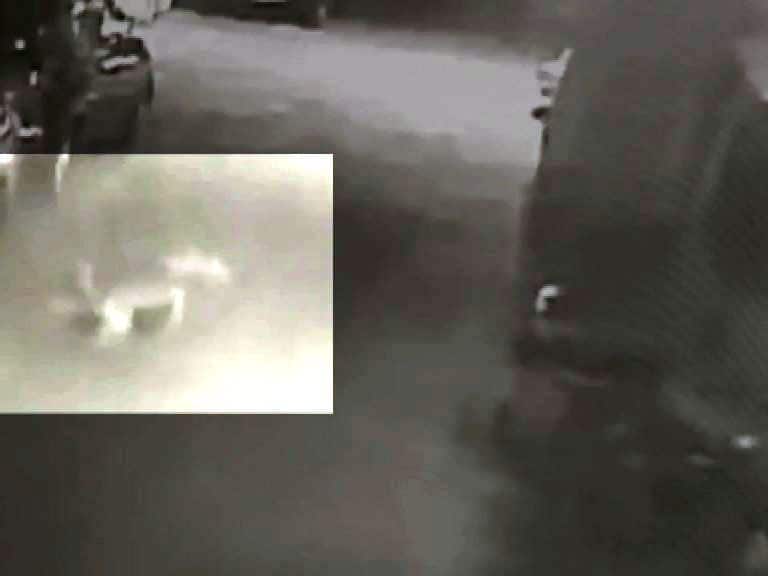 VIDEO : रहिवासी भागात घुसलेल्या बिबट्याला कुत्र्यांनी पळवलं Mumbai Dogs Chase Leopard Away At Housing Society In Malad VIDEO : रहिवासी भागात घुसलेल्या बिबट्याला कुत्र्यांनी पळवलं