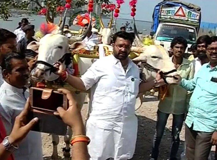 महेश लांडगेंचा विधानभवनात बैलगाडीने एन्ट्रीचा प्लॅन फसला! Mla Mahesh Landges Tries To Enter Vidhanbhavan By Bailgadi महेश लांडगेंचा विधानभवनात बैलगाडीने एन्ट्रीचा प्लॅन फसला!