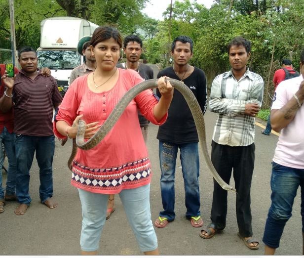 Thane Lady Snake Friend Manasi Nathwani ठाण्यात दहा वर्षात 250 सापांना जीवदान देणारी सर्पमैत्रिण