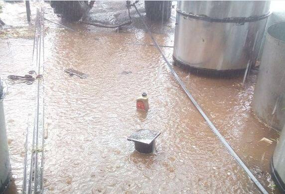 Rain With Hailstorm In Solapur District सोलापूर जिल्ह्याला गारपीटीचा तडाखा, द्राक्ष बागांचं नुकसान