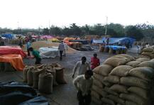 मराठवाड्यानंतर विदर्भातही अवकाळी, शेतकऱ्यांची चिंता वाढली