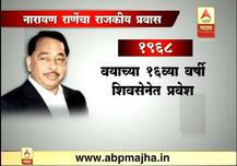 नारायण राणे यांची राजकीय कारकीर्द 