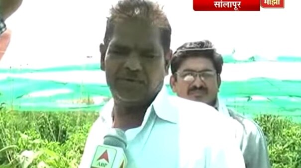 Solapur Farmer Namdev Thites Success Story Latest Updates परिस्थितीशी झुंजत आकाशाला गवसणी घालणारा शेतकरी!