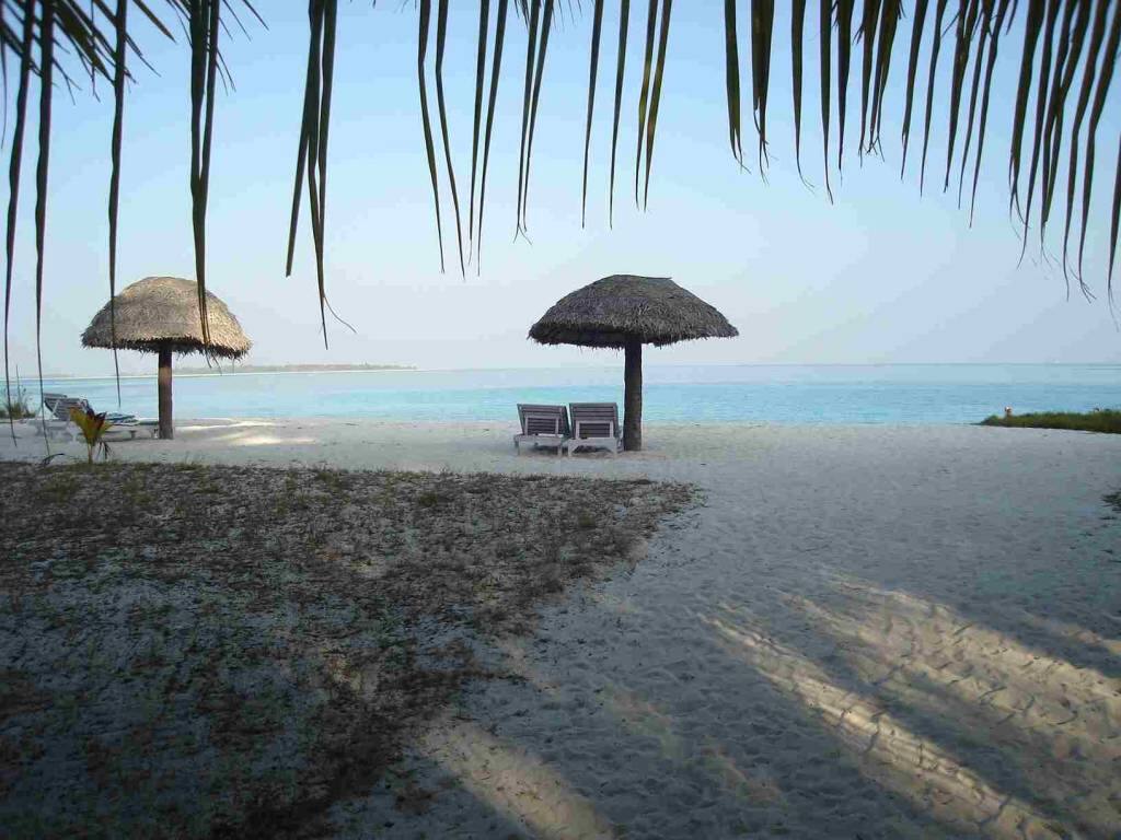 घुमक्कडी (34) : लोकल दारवा आणि चखणे!  