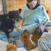 ही दोस्ती तुटायची नाय... !