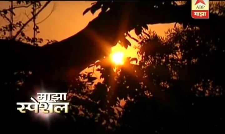  उन्हाळ्यात कोकणातल्या रानावनाला सुगंधी करणारी फुलं बहरतात. ही फुलं तोडण्यासाठी मोठी कसरत करावी लागते.. याच सुरंगी फुलांवर ‘माझा’चा विशेष रिपोर्ट सुरंगी… तिच्या नावातच सुगंध दरवळतो. कोकणातल्या रानावनाला सुगंधी करणारी ही फुलं उन्हाळा आला की आणखी बहरतात. कोकणात कुठेही फेरफटका मारा, रस्त्याकडेला ही अद्भुत फुलांच्या माळा घेऊन उभ्या पोरी हमखास दिसतात. पण या माळा केसात माळण्यापर्यंतचा प्रवास प्रचंड कठीण आहे.