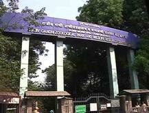 पुणेरी आयडिया, प्राण्यांना उन्हापासून बचावासाठी कुलर !