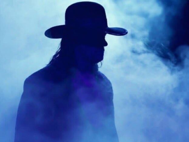 The Undertaker Retires From Wwe 'डेडमॅन' अंडरटेकरचा WWE ला अलविदा!