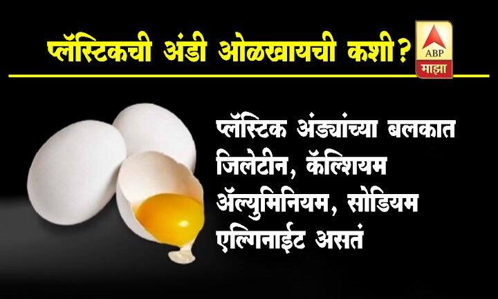 प्लास्टिक अंड्यांच्या आतला पिवळा भाग हा जिलेटीन, अॅल्यूमिनीयम, कॅल्शियम, सोडिअम एल्गिनाईटसाऱख्या रसायनांनी बनलेला असतो. याच रसायनांनी अंड्यांचा बाहेरील भाग बनवला जात असल्याचीही शक्यता आहे.