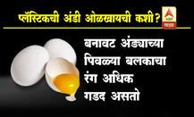 प्लॅस्टिकची अंडी ओळखायची कशी? 