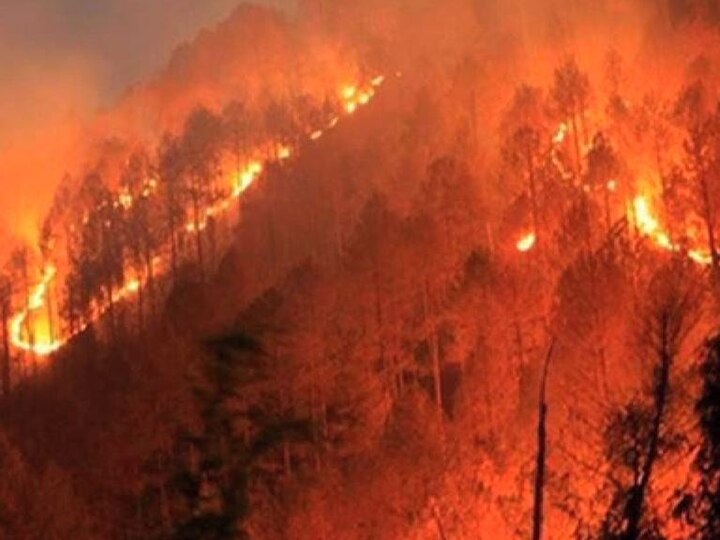 Mount Abu Forest Fire Under Control After 4 Days माऊंट अबू पर्वतरांगांमधील आग चार दिवसांनी विझली