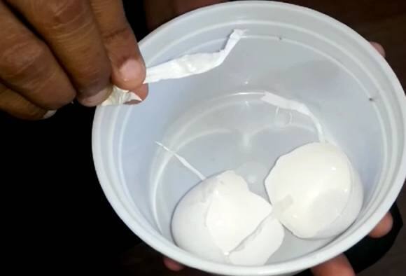 Plastic Egg Found In Bhurji At Ambarnath बायकोने भुर्जी केली, अंड्यात आढळला पॉलिथिनचा तुकडा